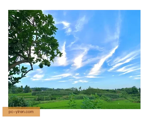 回家30杏吧：一场关于味蕾的乡愁，一次关于家的温暖